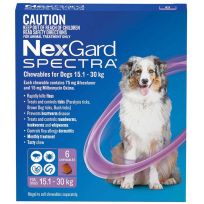 Nexgard Spectra 15.1-30kg 6 Pack (Purple)