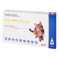 Revolution Cat Blue 6 Pack