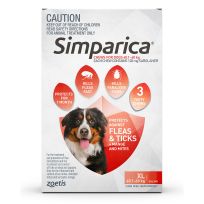 Simparica Dog Extra Large 6 Chews Pack