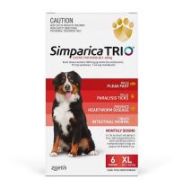 Simparica Trio 40.1-60kg (Red) 6 Pack