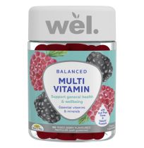 Wel Multivitamin Gummies Mixed Berry 60 Pack